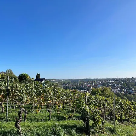 Am Rotmannsweg * Marbach am Neckar